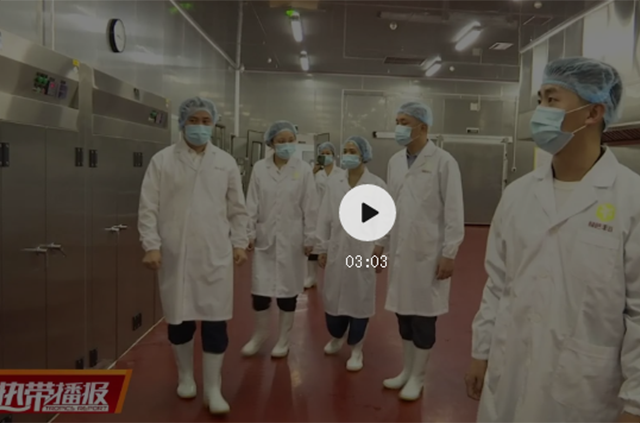 绿色丰谷中央厨房迎来高光时刻 绿色丰谷中央厨房迎来高光时刻