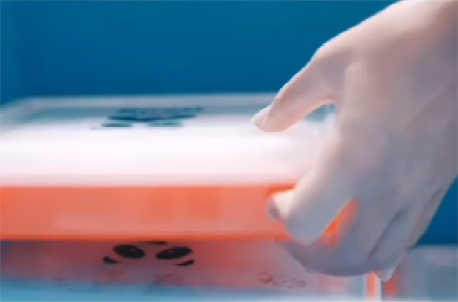 用专业的精神做餐饮——功夫订餐 用专业的精神做餐饮——功夫订餐