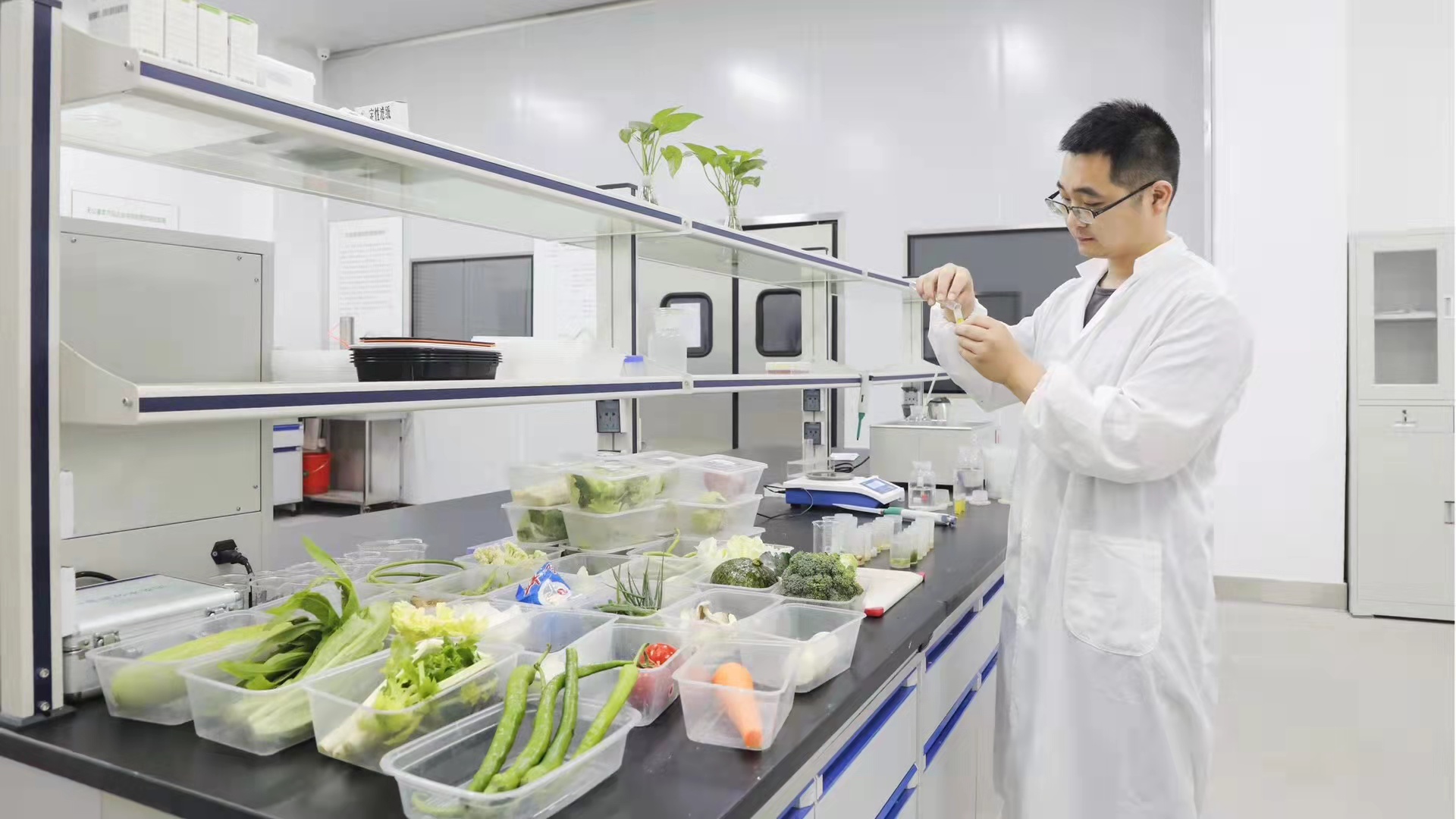 増外卖小吃、建中央厨房 疫情下美国中餐馆自救大作战 増外卖小吃、建中央厨房 疫情下美国中餐馆自救大作战